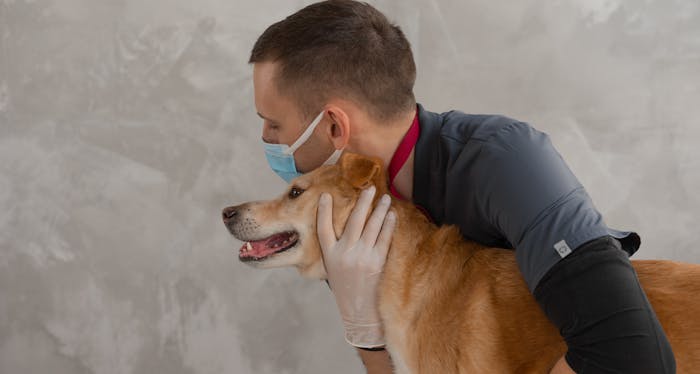 Îngrijire veterinară preventivă